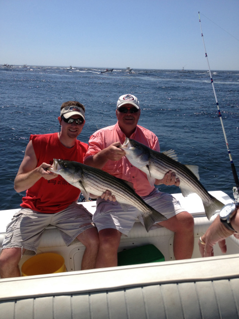 Striped bass caught on Obsessed Charters